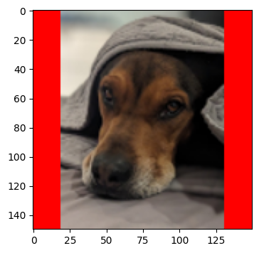 The dog image padded with red borders to a uniform 150x150 pixel square.