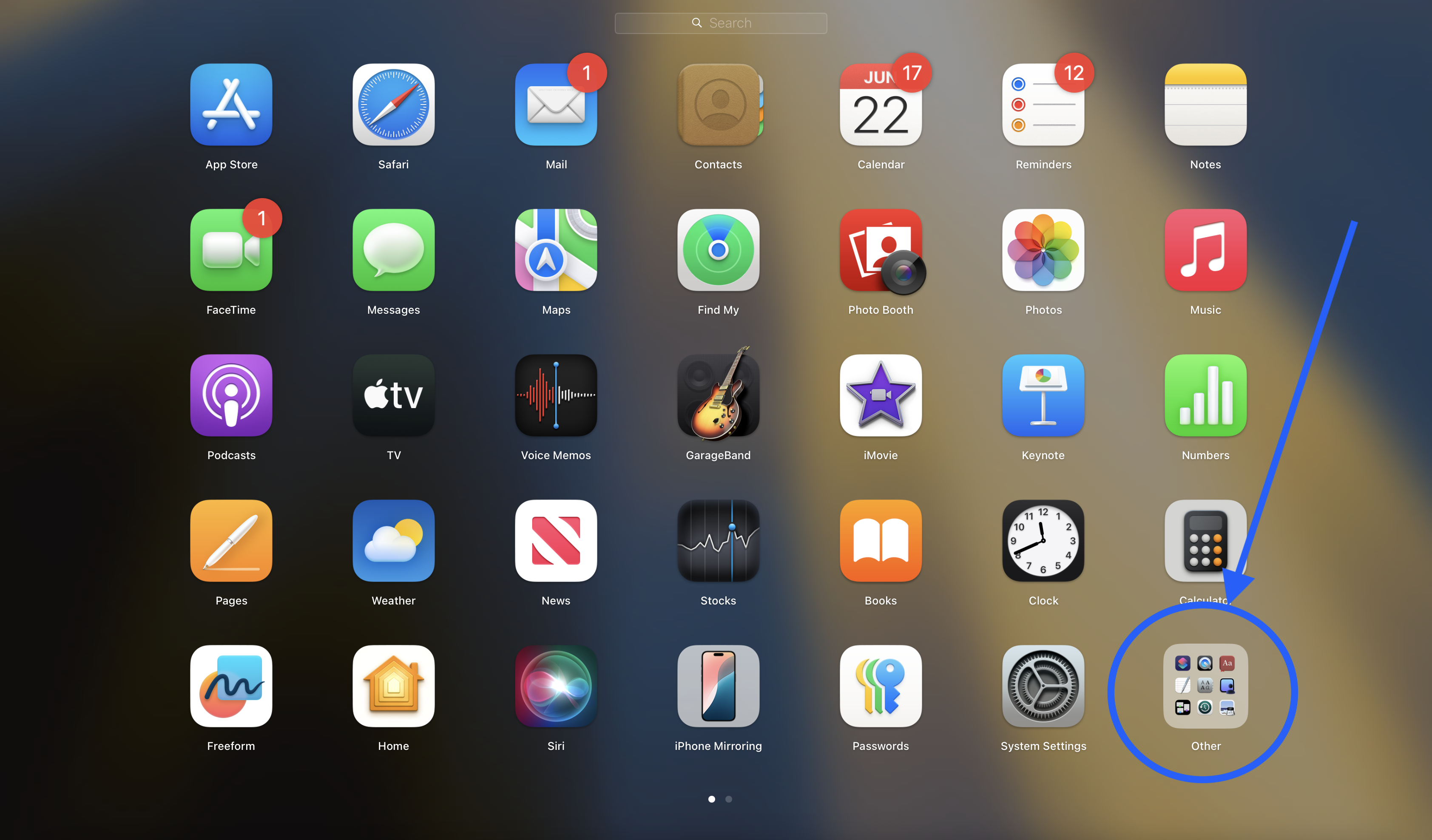 Applications View on macOS with arrow pointing to the "Other" section.