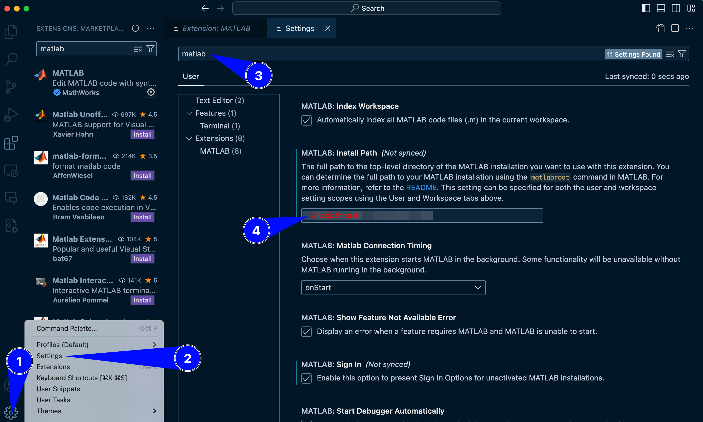 VS Code screenshot: configuring the MATLAB extension executable path.