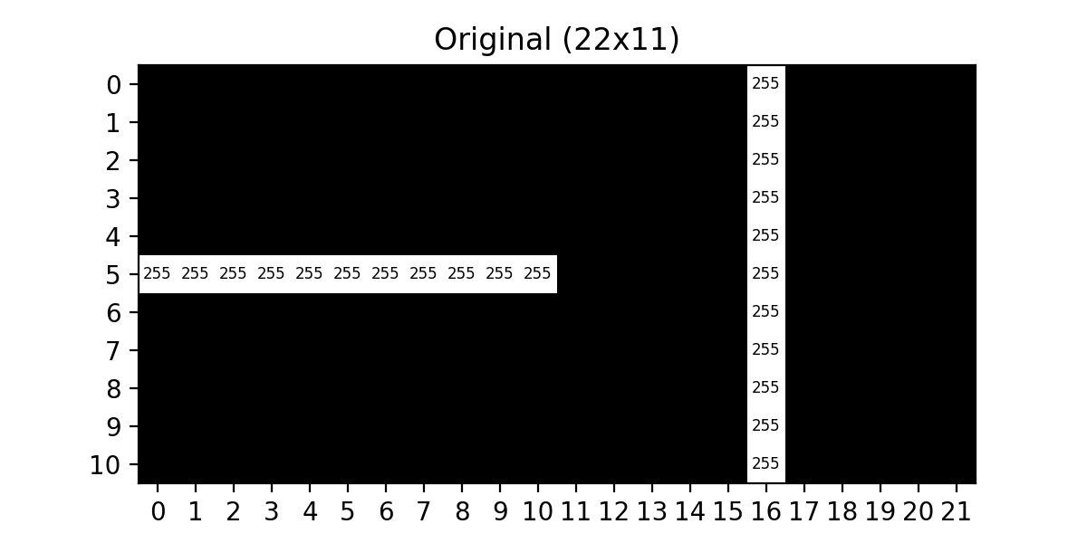 Simple 22 by 11 sample image containing one horizontal line and one vertical line.