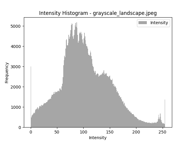 Case_2_Histogram.png